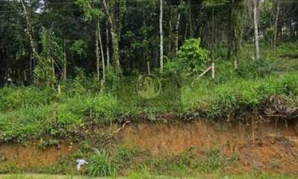 Fazenda à venda na Área Rural de Camboriú, Camboriú 