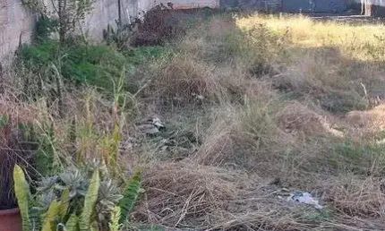 Terreno à venda na Vila Guilherme, São Paulo 