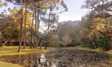 Excelente terreno em Descansopolis, Campos do Jordão/SP, 32.000 m² de área, nas proximidades da Hípica Golf, com ótima topografia (REF 19.545)