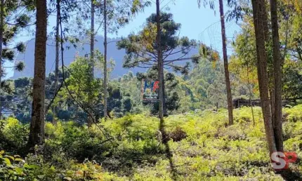 Excelente terreno na região da Pedra do Baú, em Campos do Jordão/SP, com 23 hectares (230.000 m²) (REF 20.849)