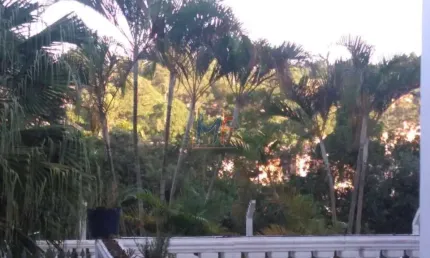 Linda Chácara em cond. no bairro Chácara Vale do Rio Cotia, com 3 dorm (1 suíte), 7 vagas, piscina. Estuda propostas e permutas. REF 9876