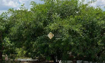 Terreno à venda, 160 m² por R$ 150.000,00 - Jardim Santa Marta III - Salto/SP