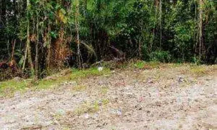 Terreno à venda no Suarão, Itanhaém 