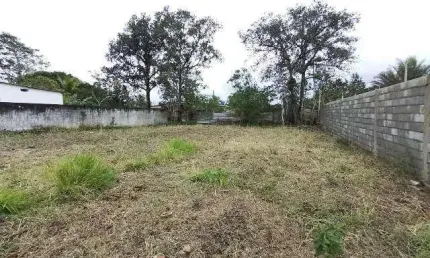 Terreno à venda no Sitio Velho, Itanhaém 