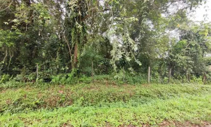 Terreno à venda no Palmeiras II, Itanhaém 