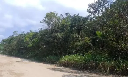 Terreno à venda no Palmeiras II, Itanhaém 