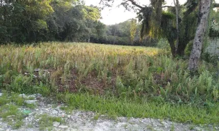 Chácara / sítio à venda na Chácaras Glória, Itanhaém 