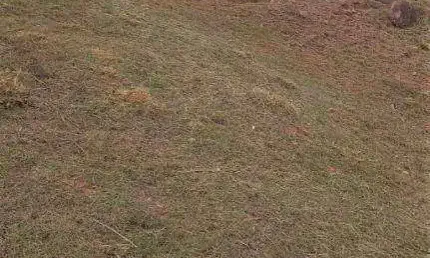 Terreno à venda - Condomínio Bosque do Horto - Jundiaí/SP