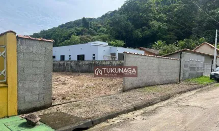 Terreno à venda, 381 m² - loteamento recanto verde mar massaguaçu - caraguatatuba/sp