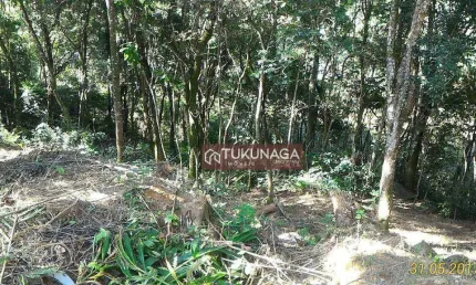 Terreno à venda, 447 m² por R$ 100.000,00 - Hortolândia - Mairiporã/SP