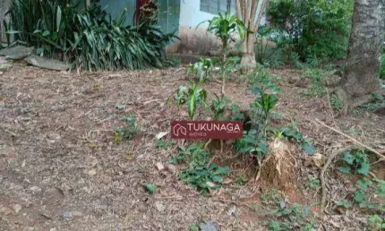 Chácara com 2 dormitórios à venda, 1000 m² por R$ 400.000,00 - Chácara Cabuçu - Guarulhos/SP