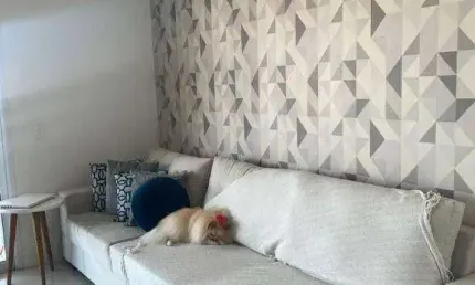 Apartamento à venda, 109 m² por r$ 1.045.000,00 - (zona norte) barro branco - são paulo/sp