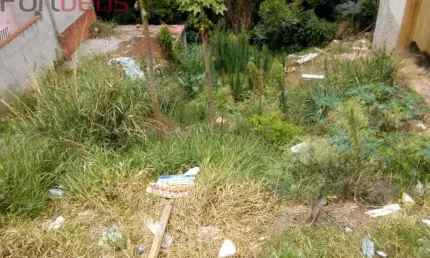 Lote / Terreno de Bairro Para Vender no bairro Laranjeiras em Caieiras
