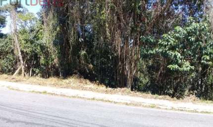 Lote / Terreno de Bairro Para Vender no bairro Morro Grande