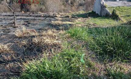 Lote / Terreno de Bairro Para Vender no bairro Laranjeiras em Caieiras