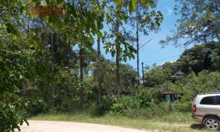 Fazenda Para Vender com 2 quartos no bairro Estação em Juquiá