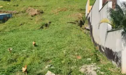 Lote / Terreno de Condomínio Para Vender no bairro Villa Verde em Franco Da Rocha