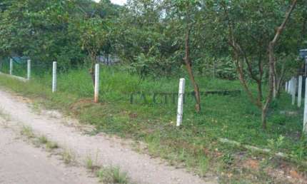 Terreno à venda, 844 m² por R$ 250.000,00 - Minas - Ilhota/SC
