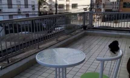 Casa clássica linda e espaçosa, ideal para família com filhos que amam animais de estimação - Boqueirão - Santos/SP