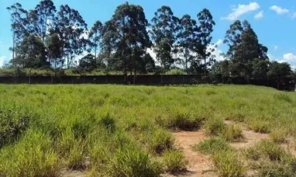 Terreno para alugar, 1500 m² por R$ 30.000,00 - Jardim Santo Afonso - Guarulhos/SP