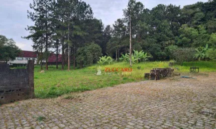 Galpão, 750 m² - venda por R$ 11.000.000,01 ou aluguel por R$ 34.000,00/mês - Cidade Aracilia - Guarulhos/SP
