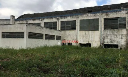 Área, 5600 m² - venda por R$ 21.000.000,01 ou aluguel por R$ 50.000,00/mês - Macedo - Guarulhos/SP