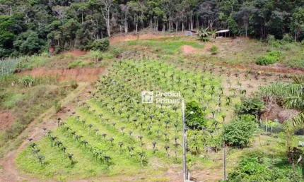 Chácara à venda, 20000 m² por R$ 1.100.000,00 - Varginha - Nova Friburgo/RJ