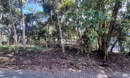 Terreno à venda, 480 m² por r$ 200.000,00 - vargem grande - nova friburgo/rj