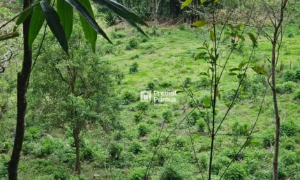 Terreno à venda, 14340 m² por r$ 450.000,00 - riograndina - nova friburgo/rj