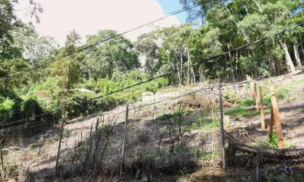 Terreno à venda, 1193 m² por R$ 450.000,00 - Centro - Nova Friburgo/RJ