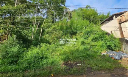 Terreno à venda, 896 m² por R$ 280.000,00 - Praça da Furunfa - Nova Friburgo/RJ