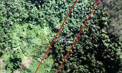 Terreno à venda, 32000 m² por R$ 360.000,00 - São Pedro da Serra - Nova Friburgo/RJ