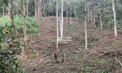 Terreno à venda, 1533 m² por r$ 200.000,00 - parque dom joão vi - nova friburgo/rj