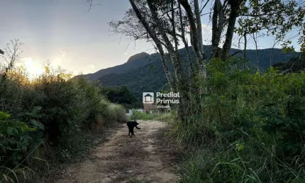 Terreno à venda, 459 m² por R$ 137.800,00 - Lumiar - Nova Friburgo/RJ