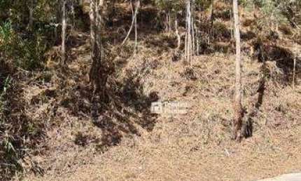 Terreno à venda, 650 m² por R$ 180.000,00 - Parque São Clemente - Nova Friburgo/RJ