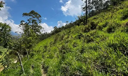 Terreno à venda, 503 m² por R$ 70.000,00 - Salinas - Nova Friburgo/RJ