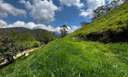 Terreno à venda, 990 m² por R$ 70.000,00 - Salinas - Nova Friburgo/RJ