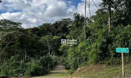 Terreno à venda, 1150 m² por R$ 250.000,00 - Ponte da Saudade - Nova Friburgo/RJ