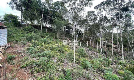 Terreno à venda, 1149 m² por R$ 680.000,00 - Braunes - Nova Friburgo/RJ