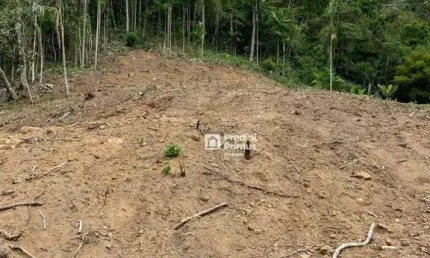 Terreno à venda, 20560 m² por R$ 650.000 - Cônego - Nova Friburgo/RJ