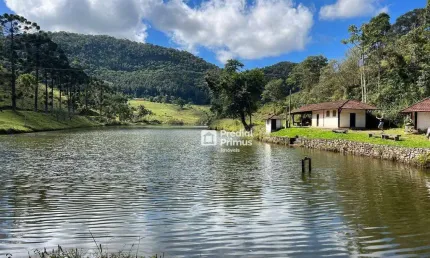 Fazenda de 290 hectares com infraestrutura completa e riquezas natuais