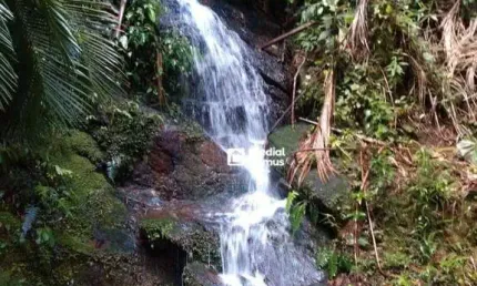 Chácara com 2 dormitórios à venda, 22000 m² por R$ 900.000,00 - Santiago - Nova Friburgo/RJ