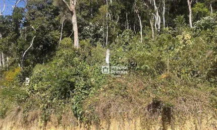 Terreno à venda, 4447 m² por r$ 180.000,00 - mury - nova friburgo/rj