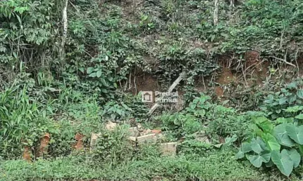 Terreno à venda, 1345 m² por r$ 280.000,00 - parque imperial - nova friburgo/rj