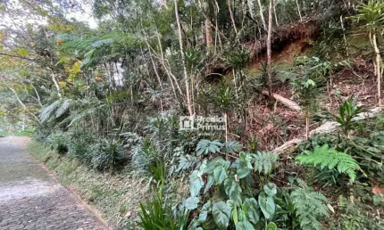 Terreno com RGI , 2345 m² à venda por R$ 350.000 - Mury - Nova Friburgo/RJ
