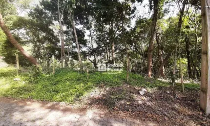 Terreno à venda, 370 m² por r$ 200.000,00 - vargem grande - nova friburgo/rj