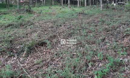 Terreno à venda, 452 m² por R$ 200.000,00 - Vargem Grande - Nova Friburgo/RJ