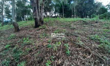 Terreno à venda, 432 m² por R$ 200.000,00 - Vargem Grande - Nova Friburgo/RJ