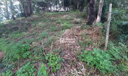 Terreno à venda, 423 m² por R$ 200.000,00 - Vargem Grande - Nova Friburgo/RJ