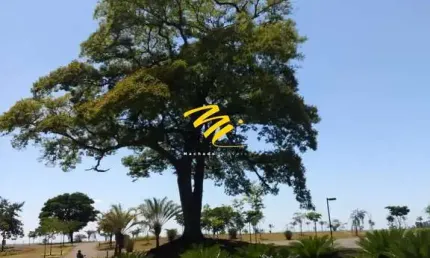 Terreno à venda em Jaguariúna, Residencial Haras Patente, com 1016.9 m²